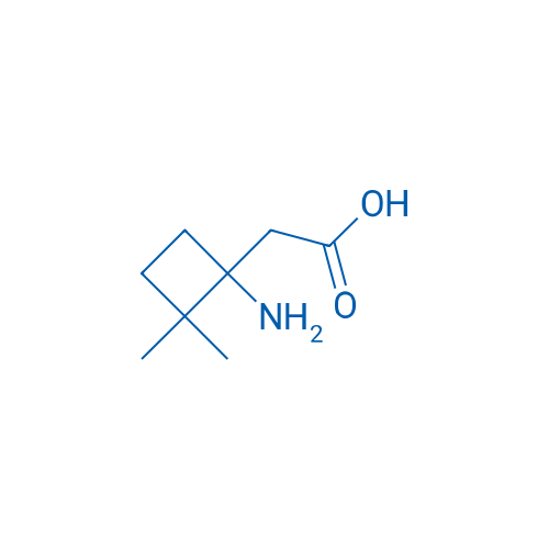 2-(1-Amino-2,2-dimethylcyclobutyl)acetic acid 1g