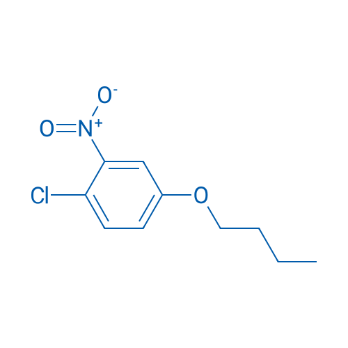 4-Butoxy-1-chloro-2-nitrobenzene 1g