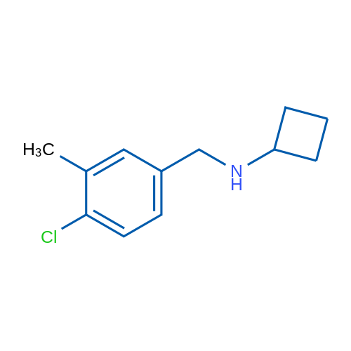 N-[(4-Chloro-3-methylphenyl)methyl]cyclobutanamine 1g