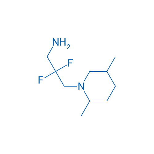 3-(2,5-Dimethylpiperidin-1-yl)-2,2-difluoropropan-1-amine 1g