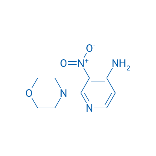2-Morpholino-3-nitropyridin-4-amine 1g