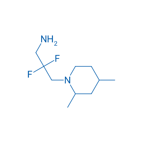 3-(2,4-Dimethylpiperidin-1-yl)-2,2-difluoropropan-1-amine 1g