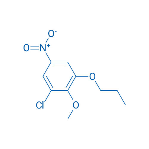 1-Chloro-2-methoxy-5-nitro-3-propoxybenzene 5g