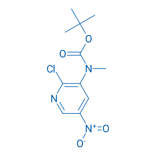 tert-Butyl N-(2-chloro-5-nitropyridin-3-yl)-N-methylcarbamate 1g