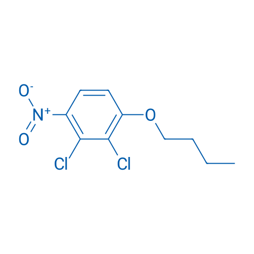 1-Butoxy-2,3-dichloro-4-nitrobenzene 1g