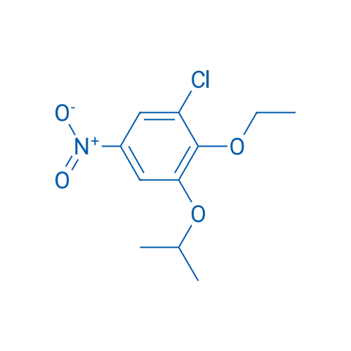 1-Chloro-2-ethoxy-5-nitro-3-(propan-2-yloxy)benzene 1g