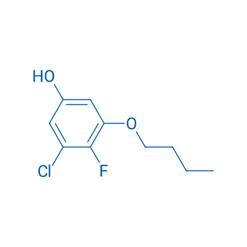 3-Butoxy-5-chloro-4-fluorophenol 1g
