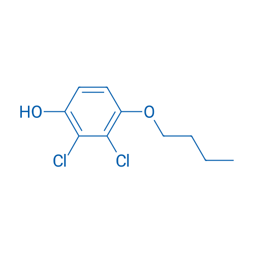 4-Butoxy-2,3-dichlorophenol 1g