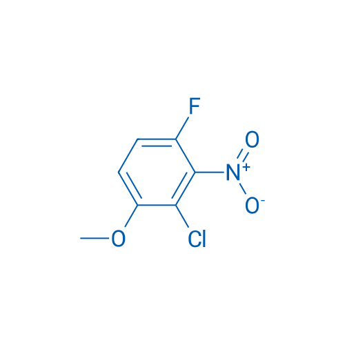 2-Chloro-4-fluoro-1-methoxy-3-nitrobenzene 1g