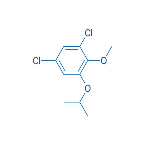 1,5-Dichloro-2-methoxy-3-(propan-2-yloxy)benzene 1g