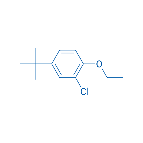 4-tert-Butyl-2-chloro-1-ethoxybenzene 1g