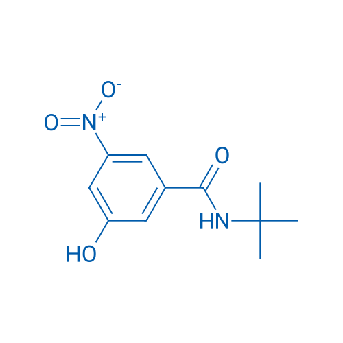 N-tert-Butyl-3-hydroxy-5-nitrobenzamide 1g