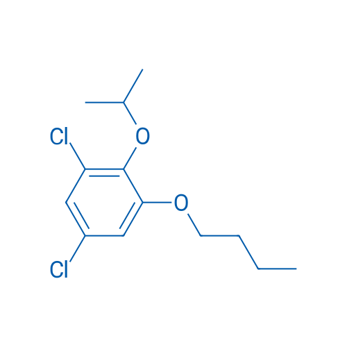 1-Butoxy-3,5-dichloro-2-(propan-2-yloxy)benzene 1g
