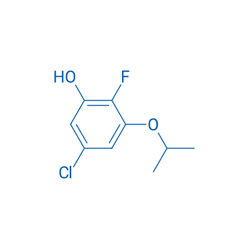 5-Chloro-2-fluoro-3-(propan-2-yloxy)phenol 1g
