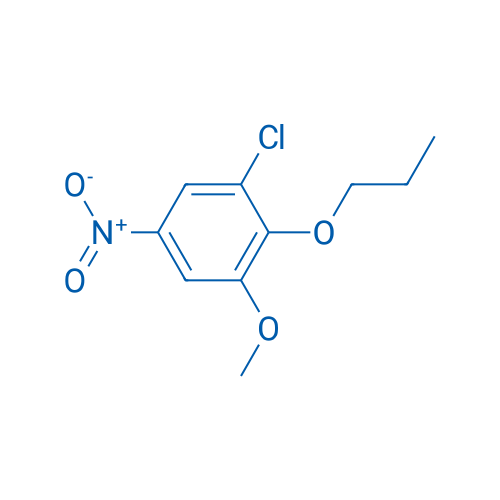 1-Chloro-3-methoxy-5-nitro-2-propoxybenzene 1g
