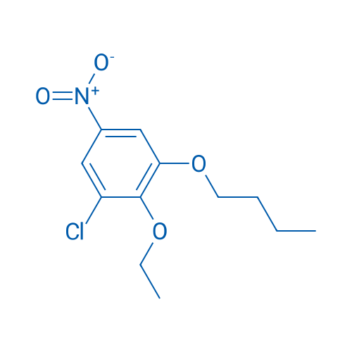 1-Butoxy-3-chloro-2-ethoxy-5-nitrobenzene 1g