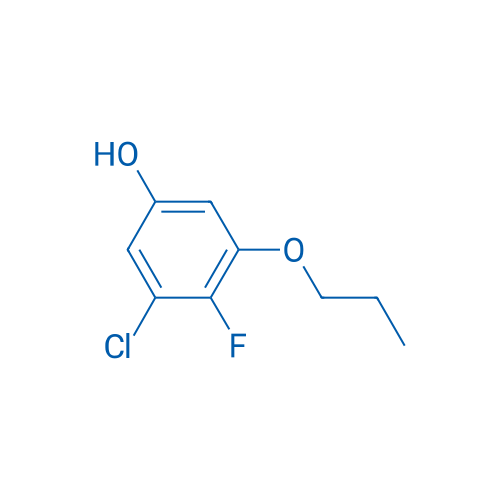 3-Chloro-4-fluoro-5-propoxyphenol 1g