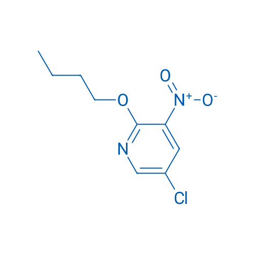 2-Butoxy-5-chloro-3-nitropyridine 1g