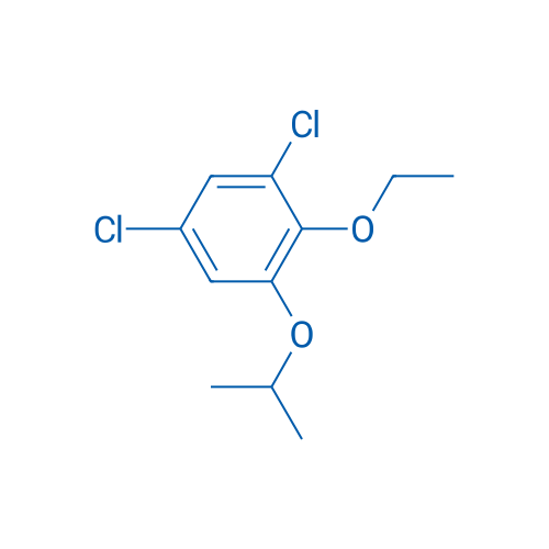 1,5-Dichloro-2-ethoxy-3-(propan-2-yloxy)benzene 1g