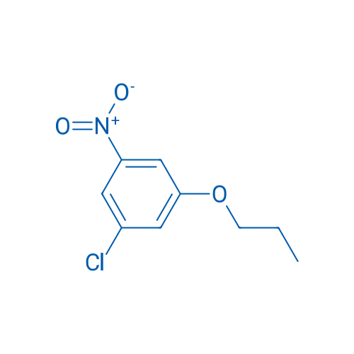1-Chloro-3-nitro-5-propoxybenzene 1g