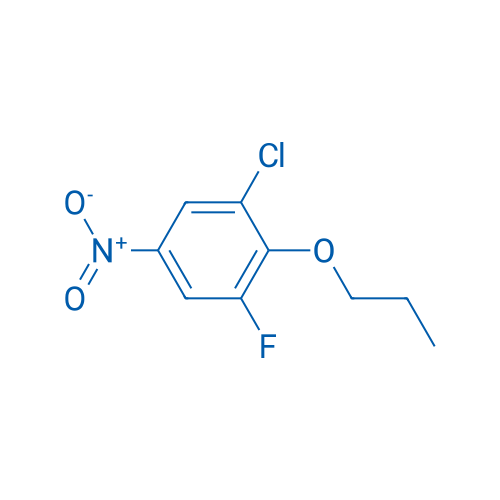 1-Chloro-3-fluoro-5-nitro-2-propoxybenzene 1g