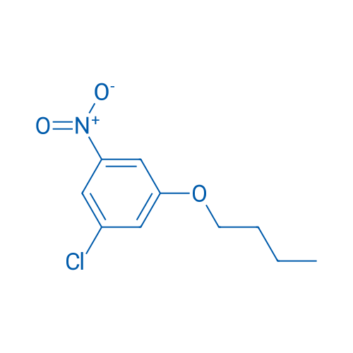 1-Butoxy-3-chloro-5-nitrobenzene 1g