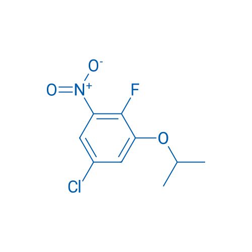 5-Chloro-2-fluoro-1-nitro-3-(propan-2-yloxy)benzene 1g