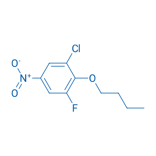 2-Butoxy-1-chloro-3-fluoro-5-nitrobenzene 5g