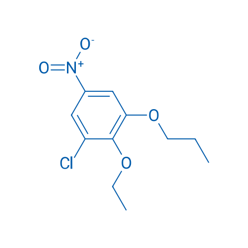 1-Chloro-2-ethoxy-5-nitro-3-propoxybenzene 5g