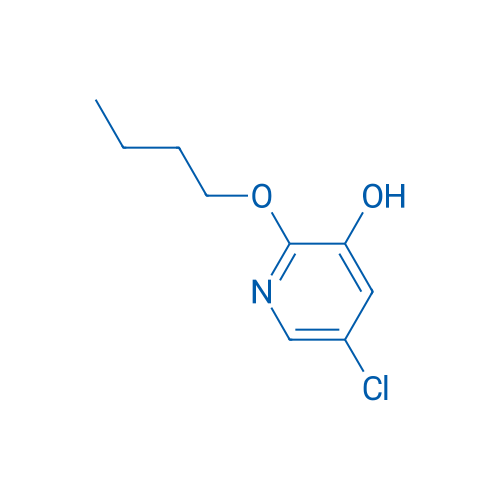 2-Butoxy-5-chloropyridin-3-ol 1g