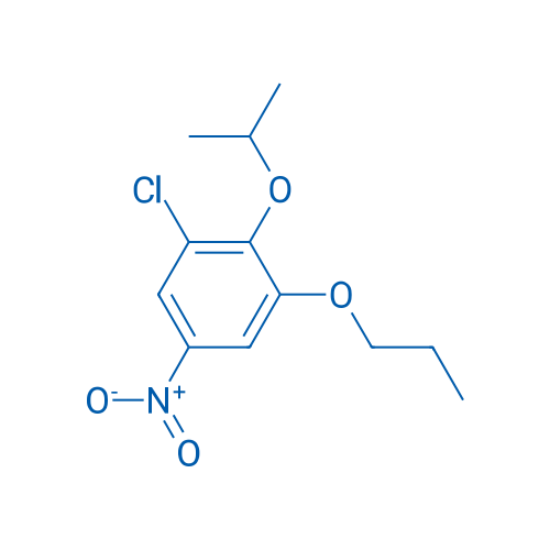 1-Chloro-5-nitro-2-(propan-2-yloxy)-3-propoxybenzene 1g