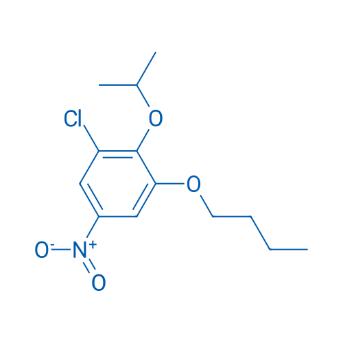 1-Butoxy-3-chloro-5-nitro-2-(propan-2-yloxy)benzene 1g