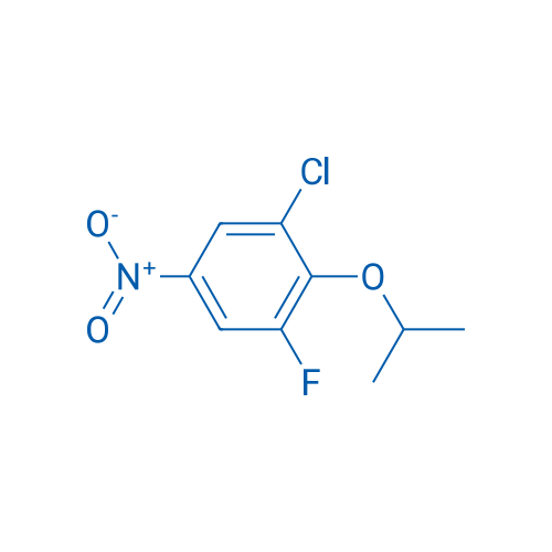 1-Chloro-3-fluoro-5-nitro-2-(propan-2-yloxy)benzene 1g