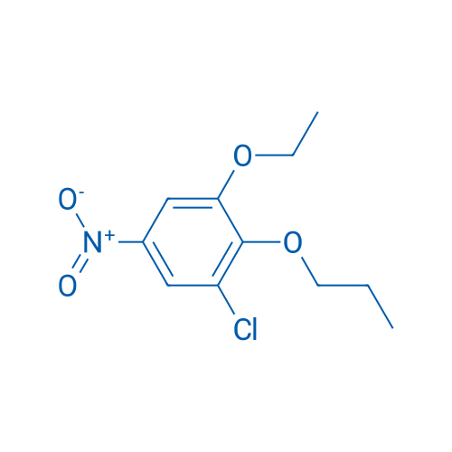 1-Chloro-3-ethoxy-5-nitro-2-propoxybenzene 1g