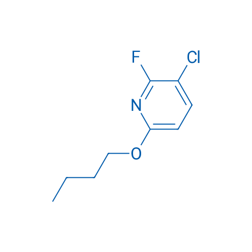 6-Butoxy-3-chloro-2-fluoropyridine 1g