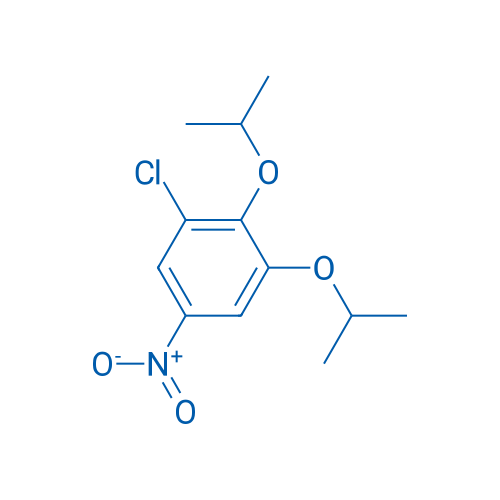 1-Chloro-5-nitro-2,3-bis(propan-2-yloxy)benzene 1g