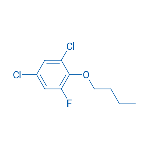 2-Butoxy-1,5-dichloro-3-fluorobenzene 1g