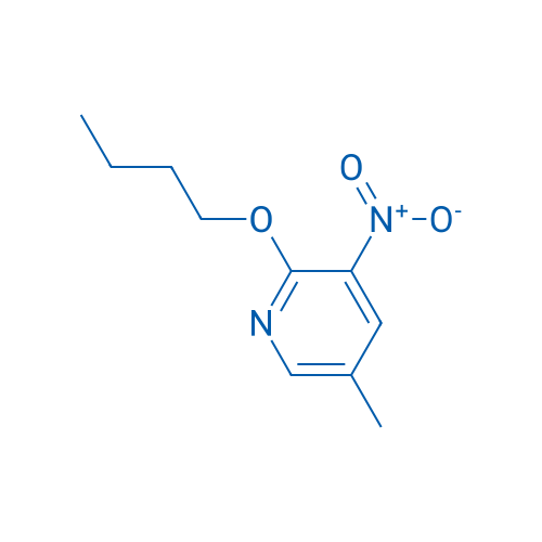 2-Butoxy-5-methyl-3-nitropyridine 1g
