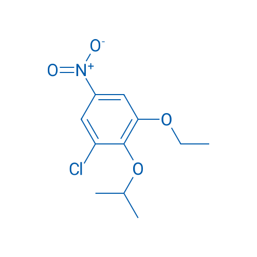 1-Chloro-3-ethoxy-5-nitro-2-(propan-2-yloxy)benzene 1g