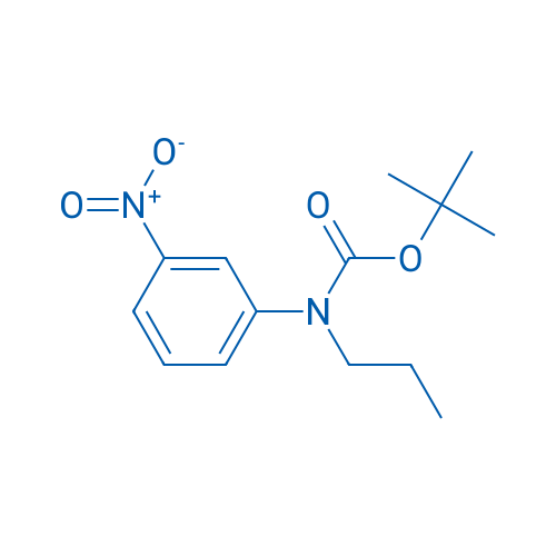 tert-Butyl N-(3-nitrophenyl)-N-propylcarbamate 1g