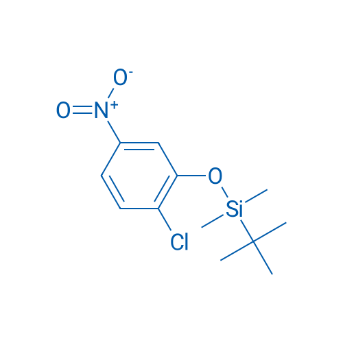 tert-Butyl(2-chloro-5-nitrophenoxy)dimethylsilane 5g