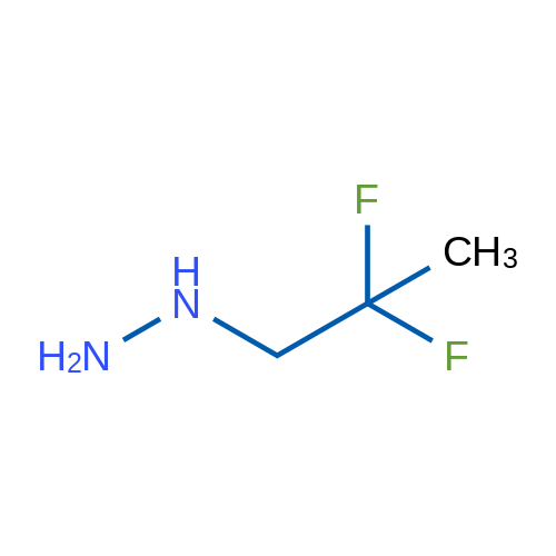 (2,2-Difluoropropyl)hydrazine 1g