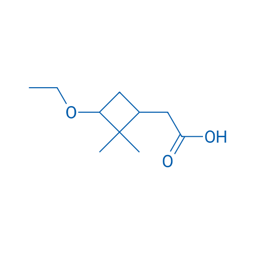 2-(3-ethoxy-2,2-dimethylcyclobutyl)acetic acid 1g