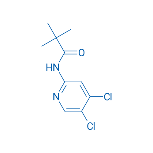 N-(4,5-Dichloropyridin-2-yl)pivalamide 1g