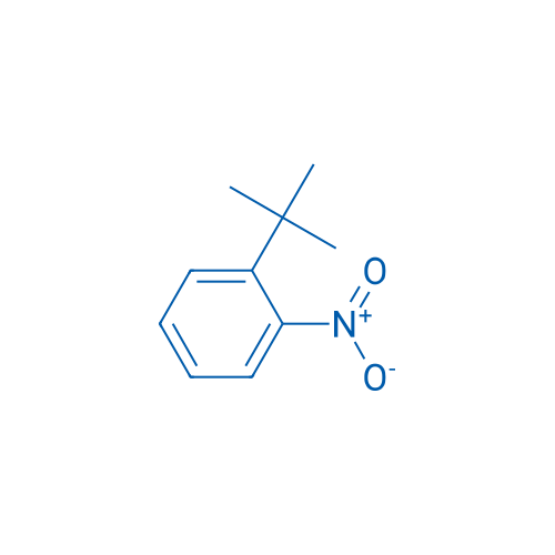 1-(tert-Butyl)-2-nitrobenzene 10g