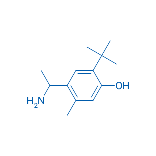 4-(1-Aminoethyl)-2-tert-butyl-5-methylphenol 1g