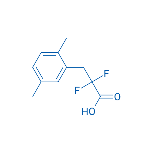 3-(2,5-Dimethylphenyl)-2,2-difluoropropanoic acid 1g