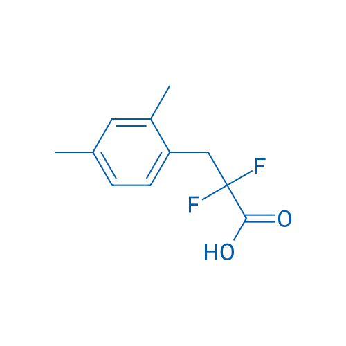 3-(2,4-Dimethylphenyl)-2,2-difluoropropanoic acid 1g
