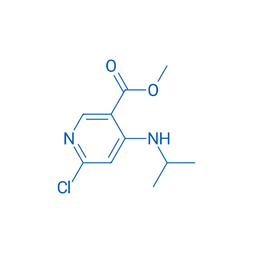 Methyl 6-chloro-4-(isopropylamino)nicotinate 250mg