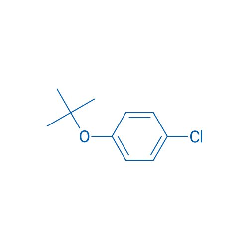1-(tert-Butoxy)-4-chlorobenzene 100g